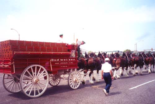 It's so beautiful - horses ...