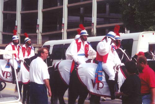 Horses and mobil phone...