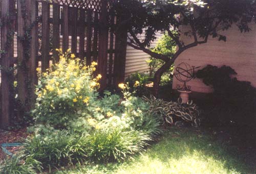 The back yard of the Brethauer's house.